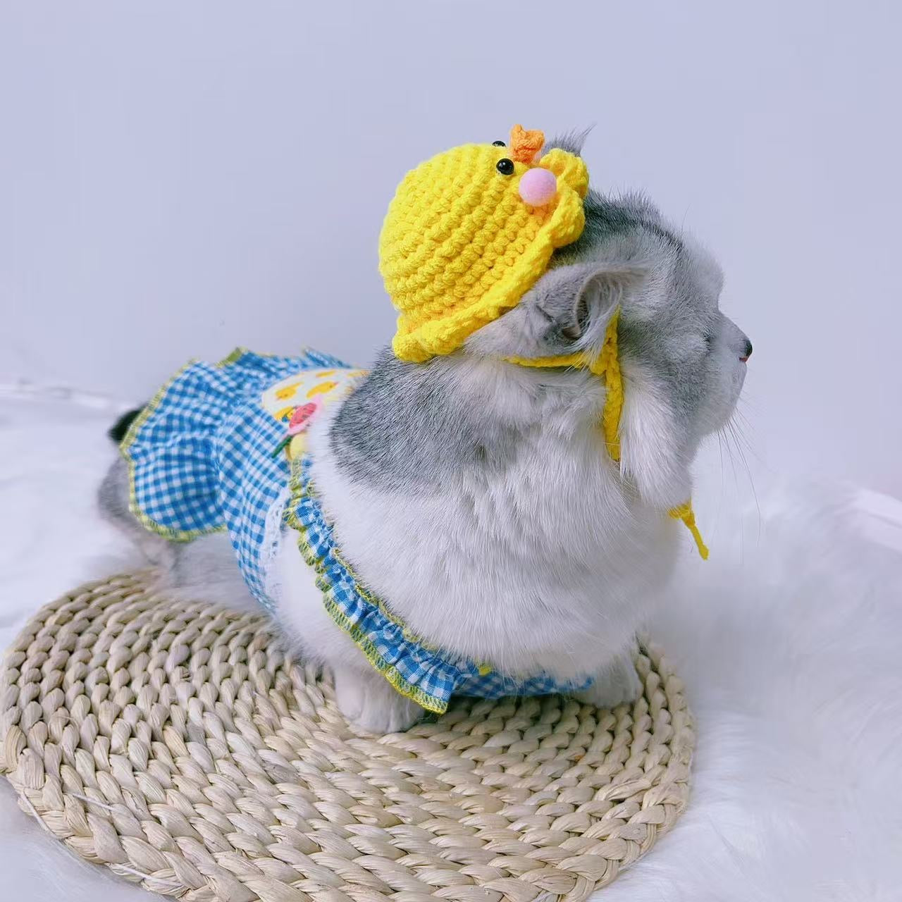 Handmade Duck Hat