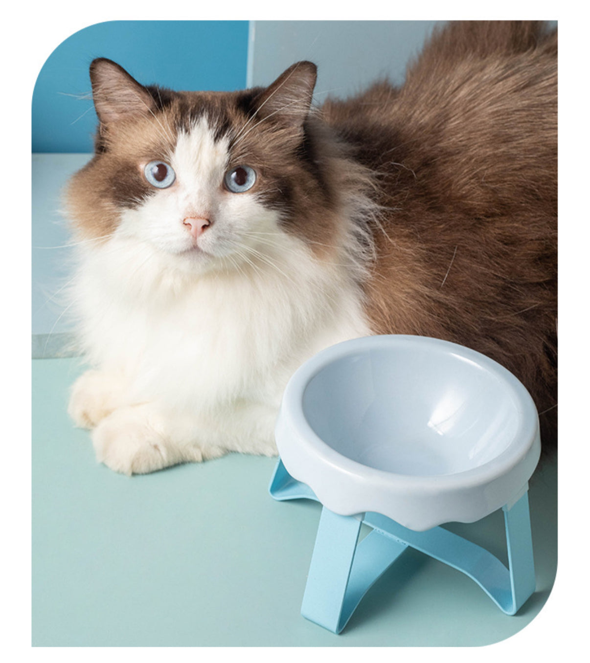 Ceramic Pet Elevated Bowl - Ice Cream