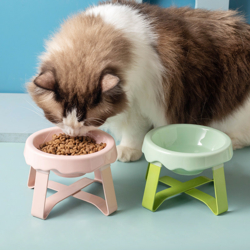 Ceramic Pet Elevated Bowl - Ice Cream