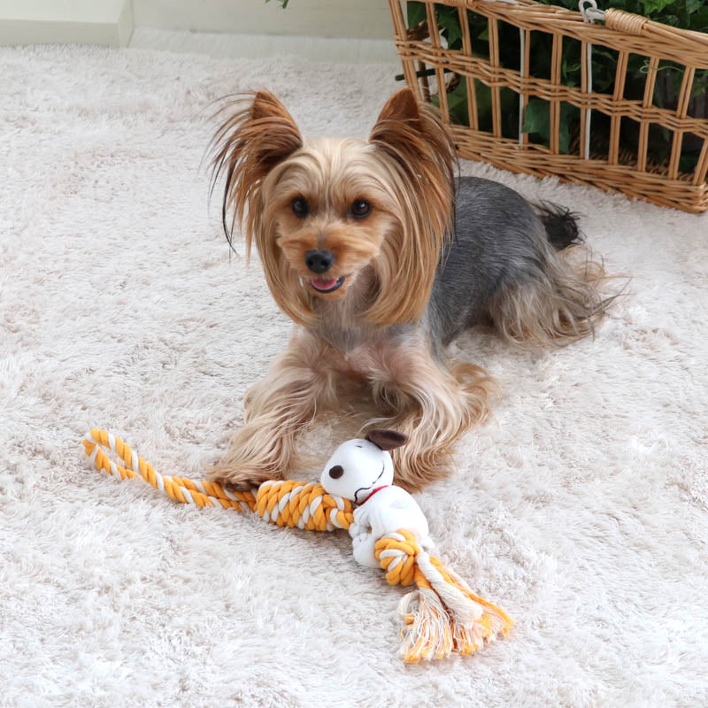Snoopy Clingy Dog Toy