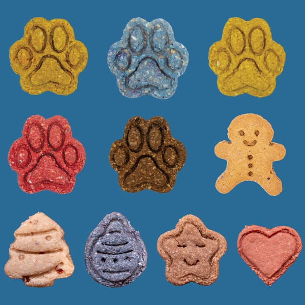 SPECIAL EDITION Dog Advent Calendar 2025