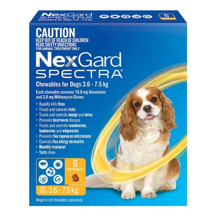 NexGard Dog SPECTRA | Flea, Heartworm, Flea, Tick, Intestinal Worm, and Mite Protection