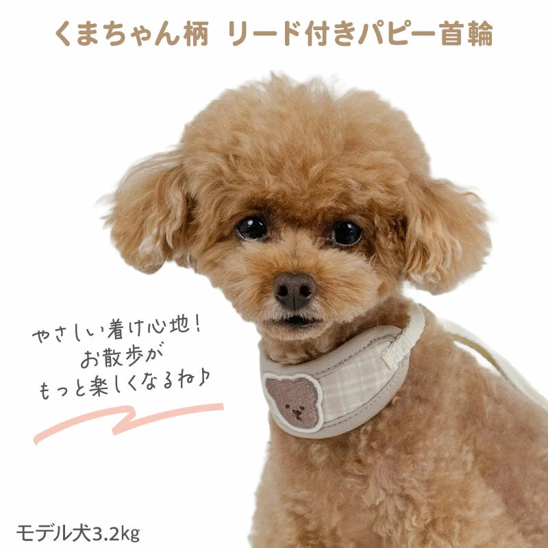 Dog Collar with Leash, Bear Pattern, Small Dog | One-Piece Collar
