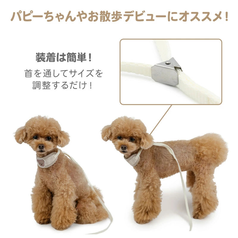 Dog Collar with Leash, Bear Pattern, Small Dog | One-Piece Collar
