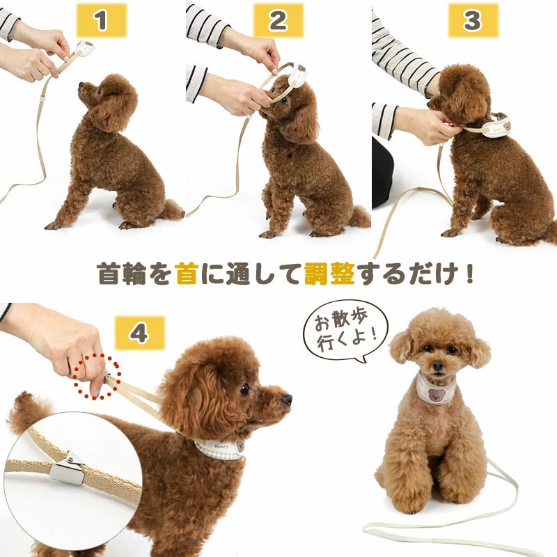 Dog Collar with Leash, Bear Pattern, Small Dog | One-Piece Collar