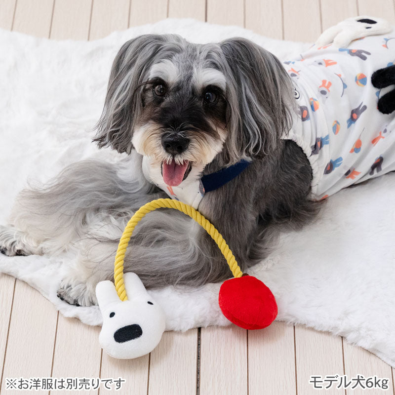 Gaspard and Lisa Dog Rope Toy | Tug-of-War