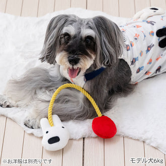 Gaspard and Lisa Dog Rope Toy | Tug-of-War