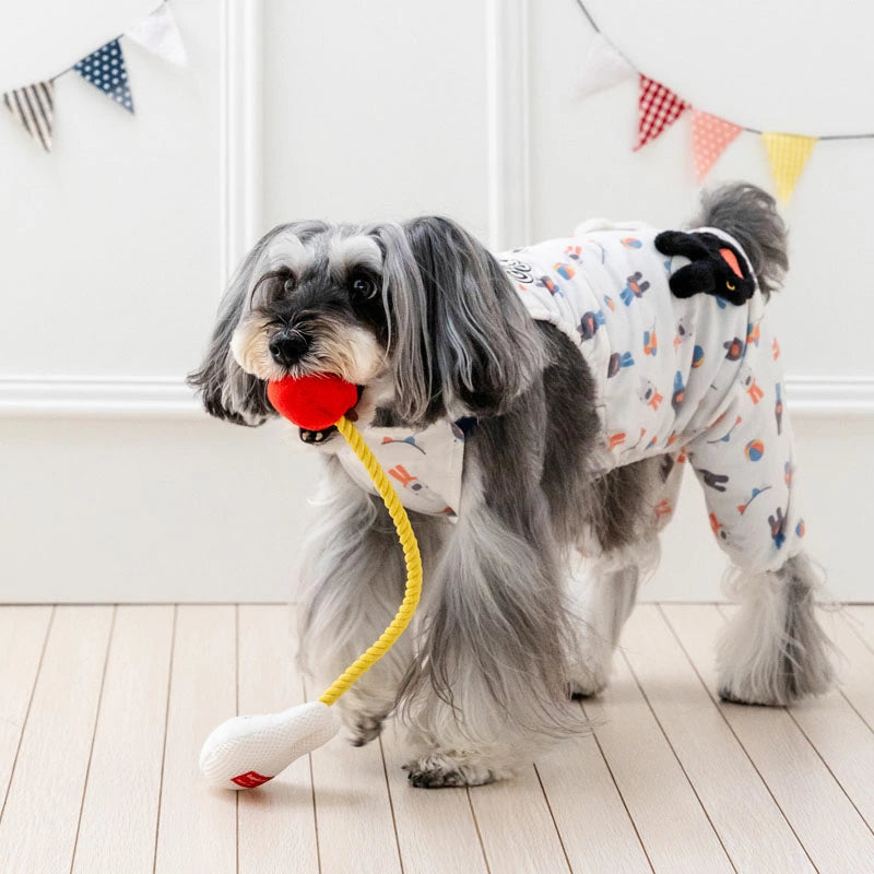 Gaspard and Lisa Dog Rope Toy | Tug-of-War
