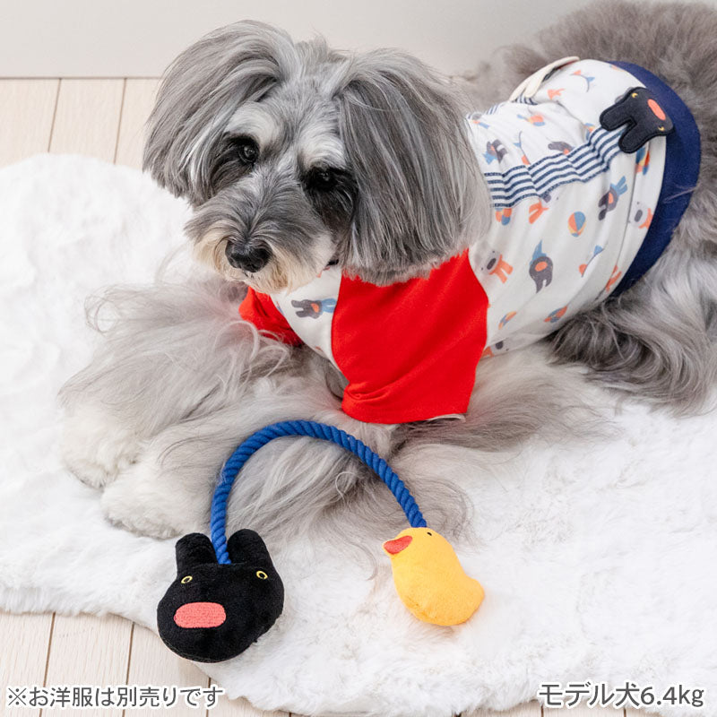 Gaspard and Lisa Gaspard Dog Toy Rope | Tug-of-War Duck