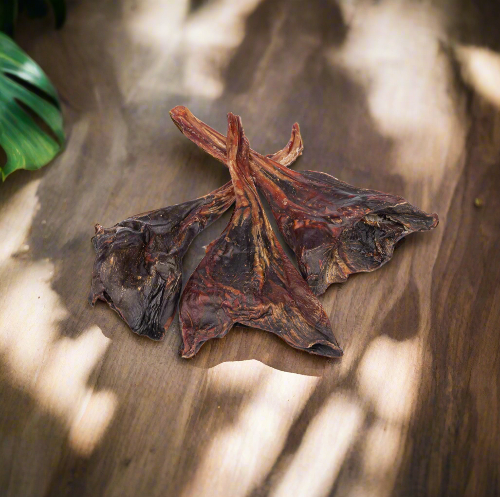 Kangaroo Tendon 150g | Frenzy Munchy