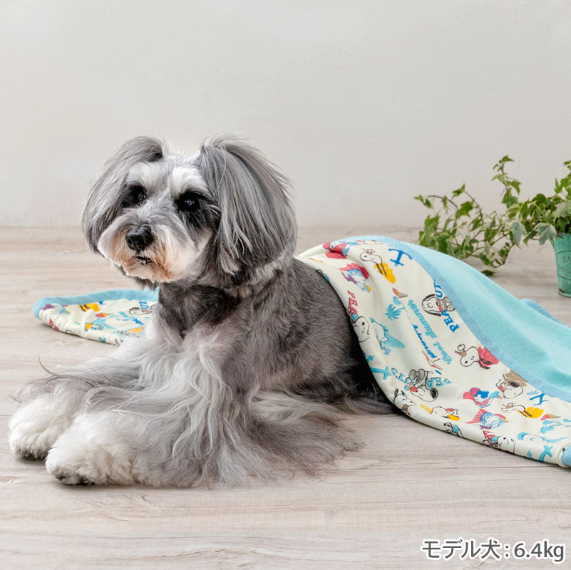 Snoopy Dog Blanket for Summer Cool Ice Pattern