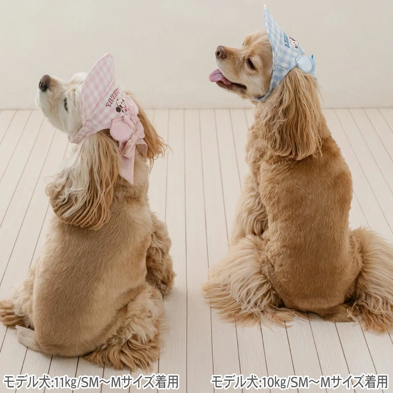 Disney Minnie Mouse Hat Spring Summer Friendly Cap