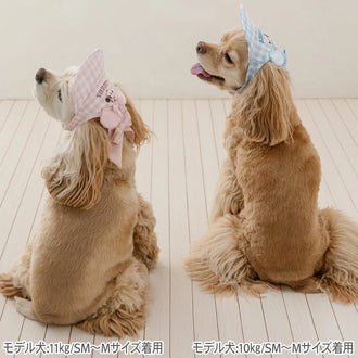 Disney Minnie Mouse Hat Spring Summer Friendly Cap