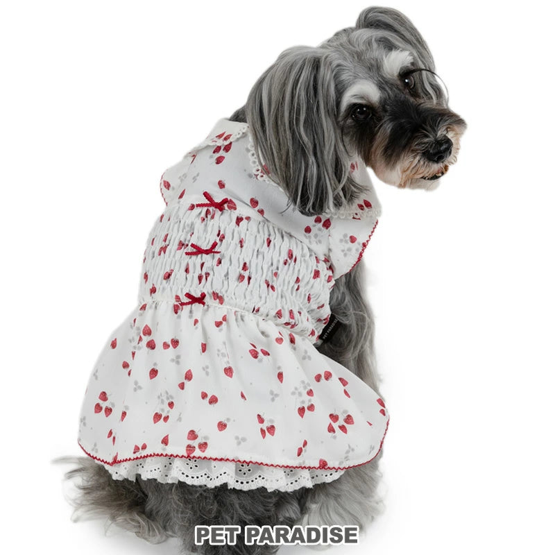 spring strawberry smocking dress