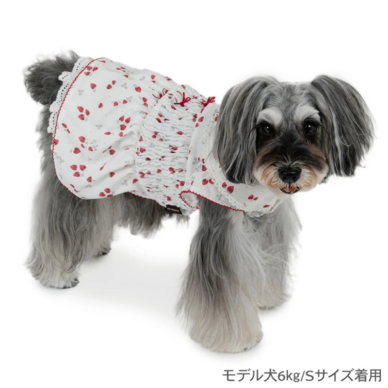 spring strawberry smocking dress