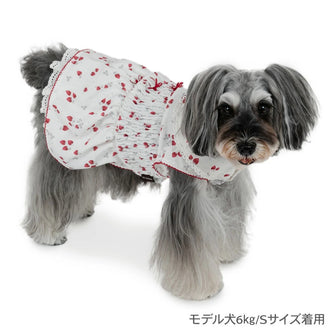 spring strawberry smocking dress