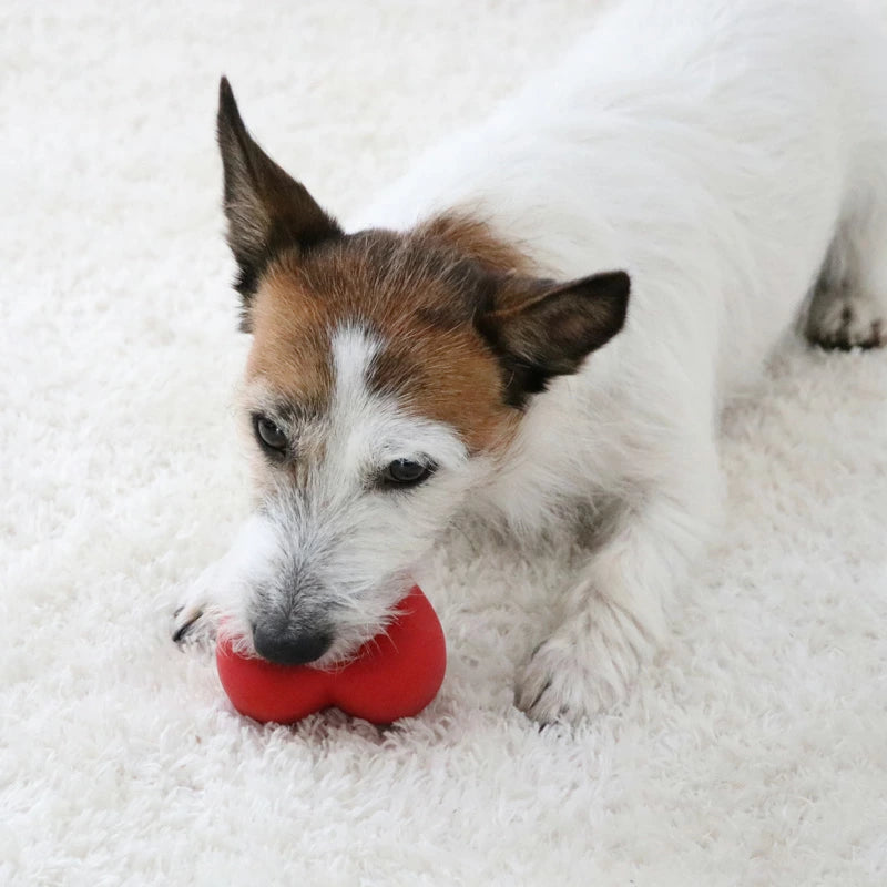 Snoopy Dog Toy Heart Latex Ball Toy Small Dog