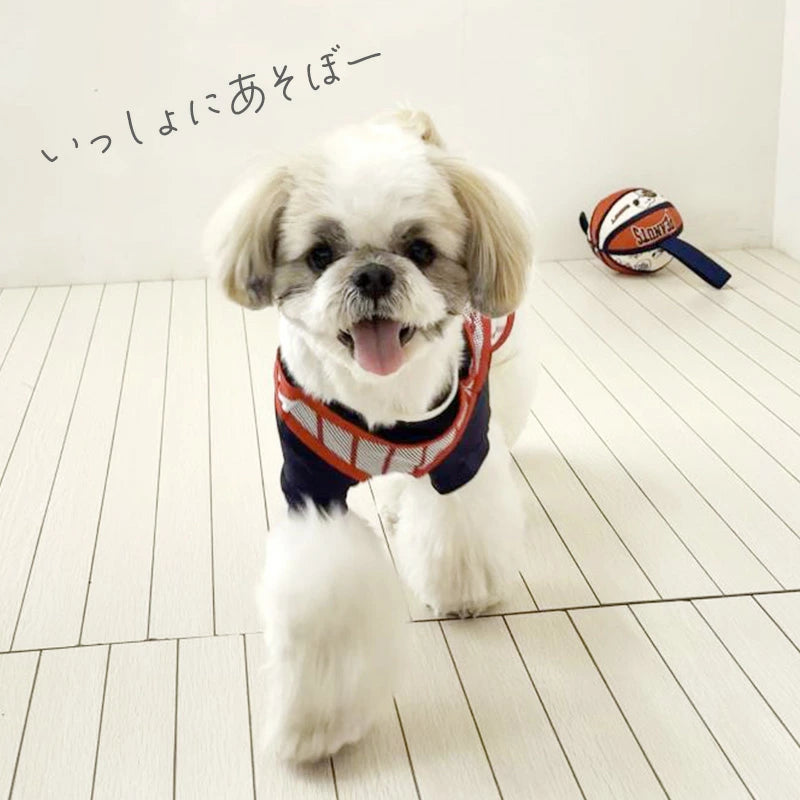 Snoopy Dog Toy with Tab Basketball Ball for Small Dogs and Extra Small Dogs | Red TOY Basketball Toy Pet Toy Cute