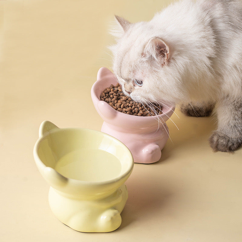 Elevated Bowl - sitting cat