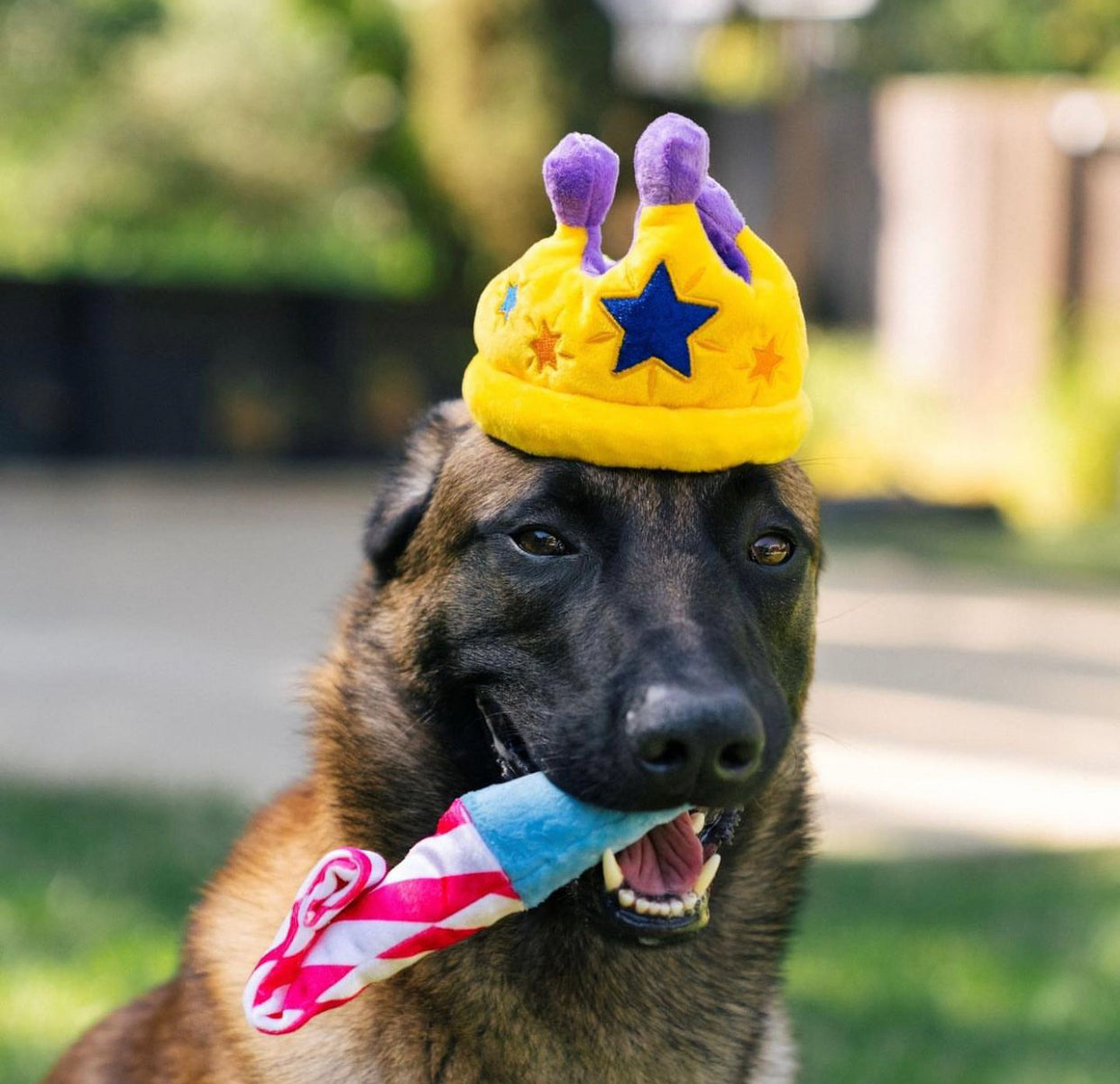 Birthday Toys and Packs