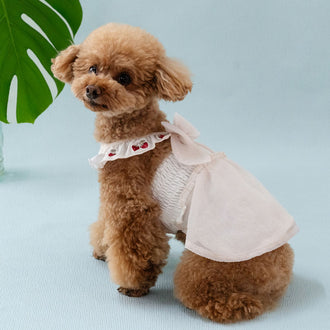 Dog clothes for spring and summer, eco-mesh, strawberry embroidery