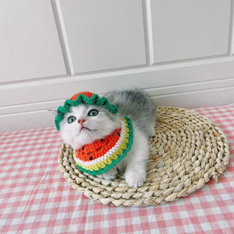 Handmade Watermelon Hat and Bandana Set