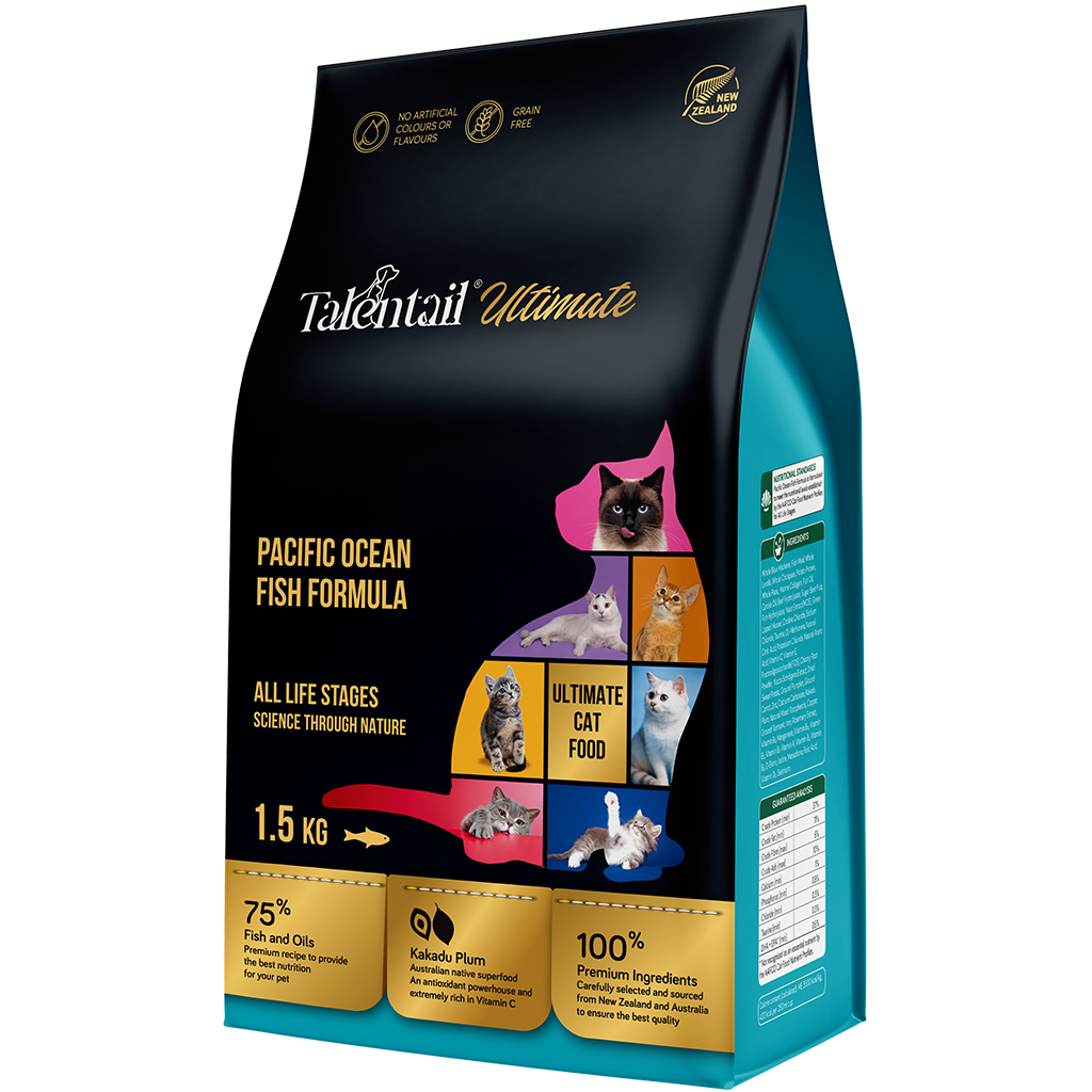 Talentail Cat Pacific Ocean Fish