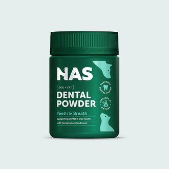 Dental Powder