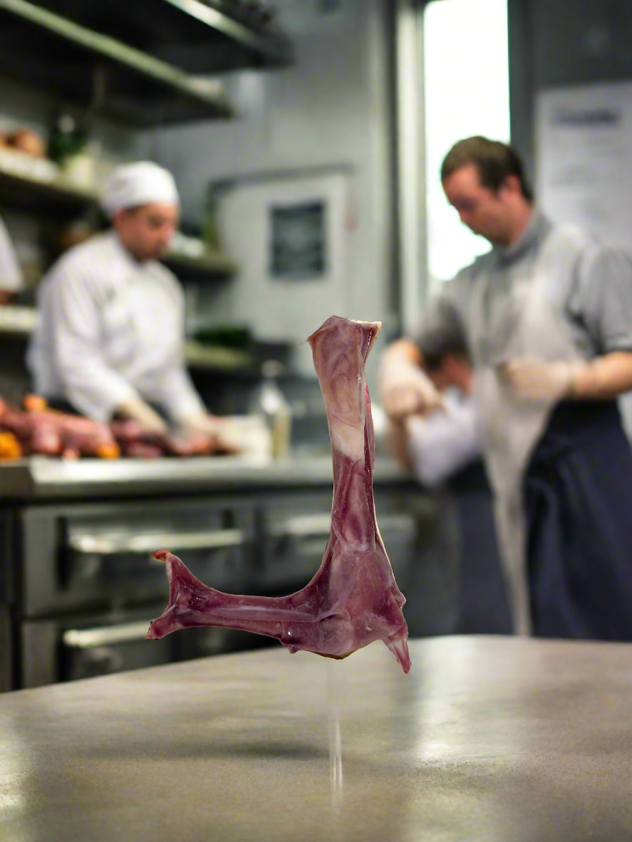 Duck Leg Bone