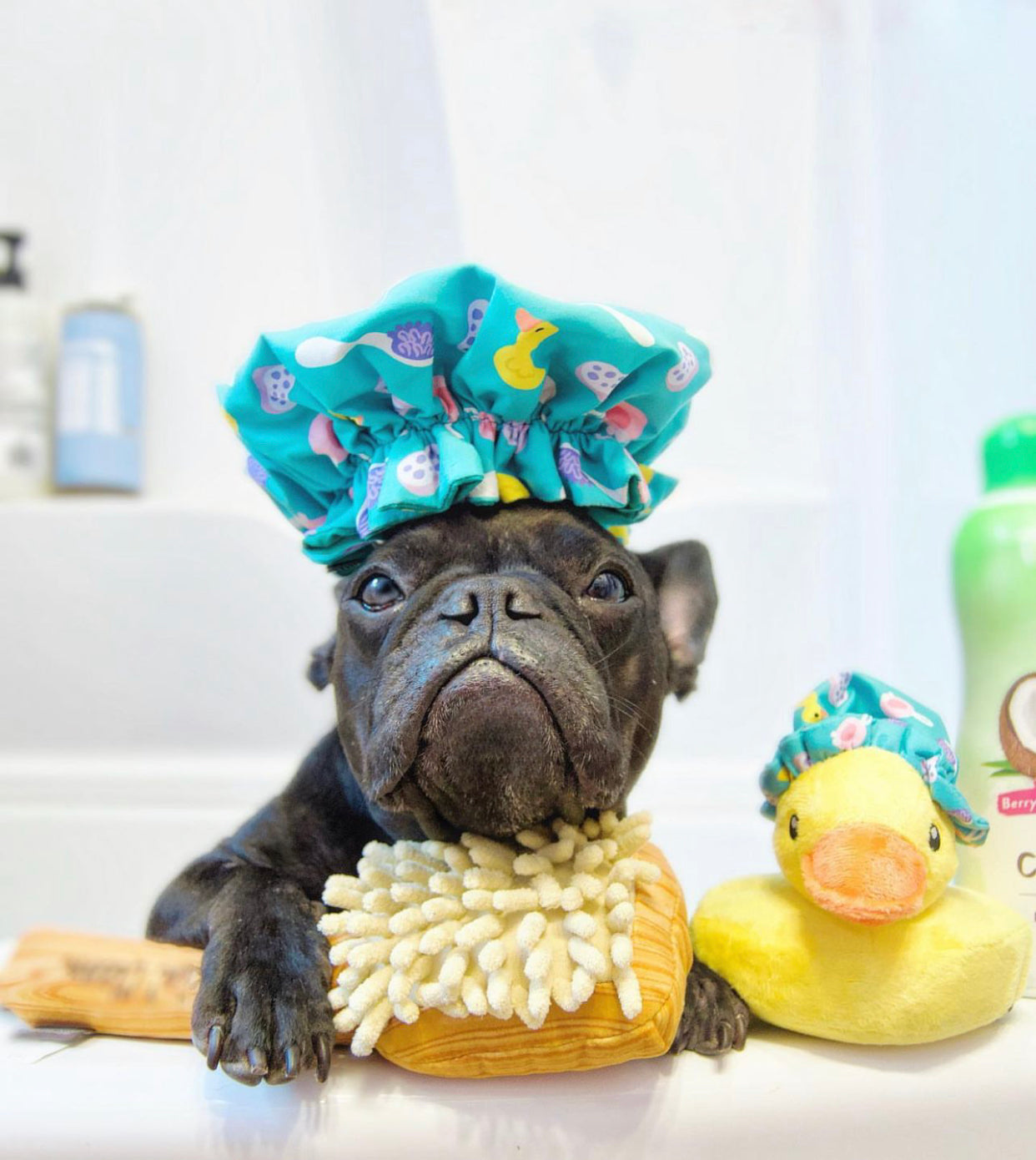 Splish Splash Collection