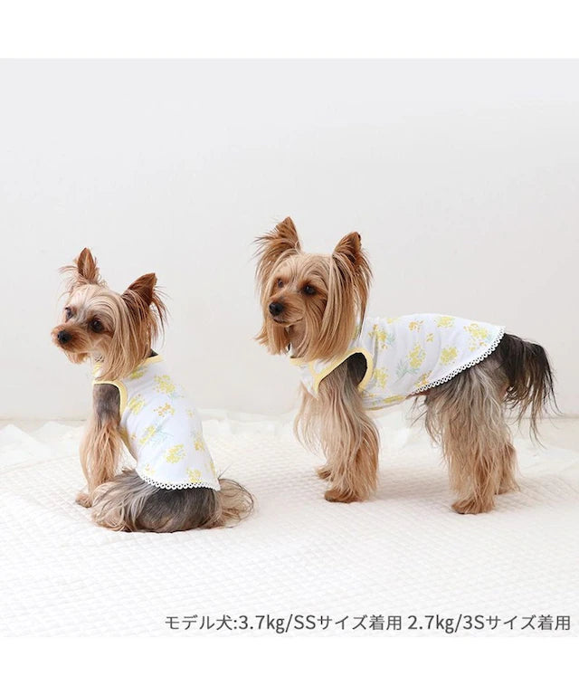 Tank top, small dog, medium sized dog, large dog, mimosa pattern, first tank | Puppy, sleeveless, ruffle, stylish, cute, pet wear, dog clothes
