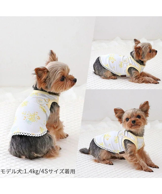 Tank top, small dog, medium sized dog, large dog, mimosa pattern, first tank | Puppy, sleeveless, ruffle, stylish, cute, pet wear, dog clothes