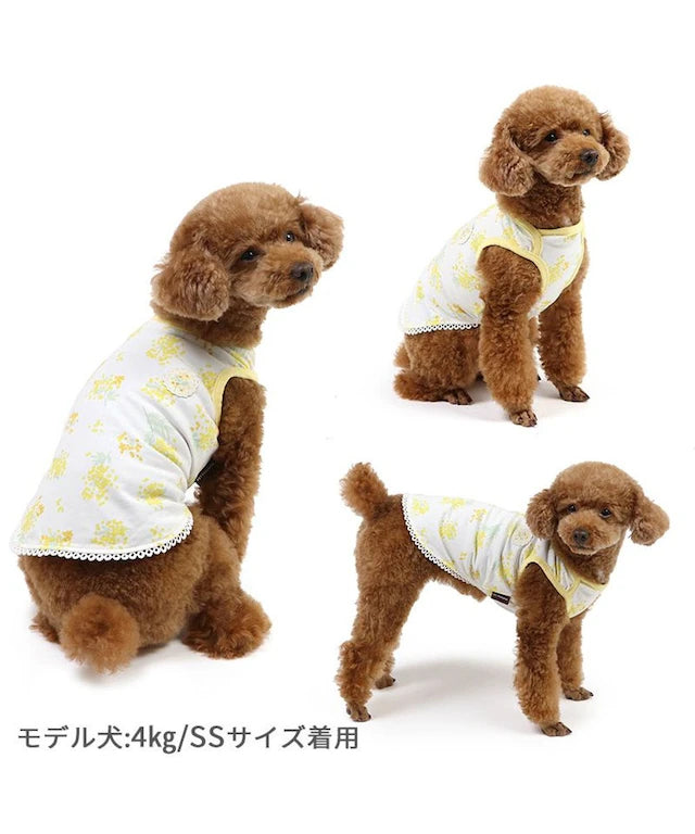 Tank top, small dog, medium sized dog, large dog, mimosa pattern, first tank | Puppy, sleeveless, ruffle, stylish, cute, pet wear, dog clothes