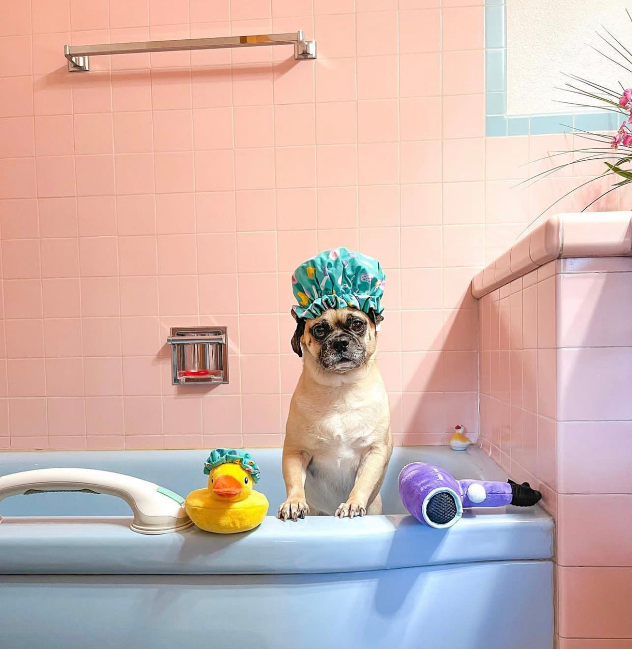 Splish Splash Collection