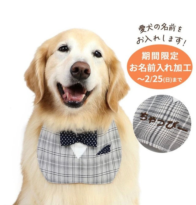 Bow tie, plaid pattern Pet bib, small dog, medium sized dog, large dog, ruffles | custom made, cat necklace, ribbon, lace, fashionable, cu