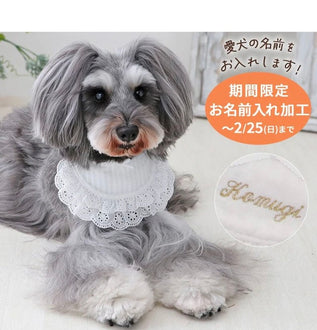 Pet bib, small dog, medium sized dog, large dog, ruffles | custom made, cat necklace, ribbon, lace, fashionable, cu