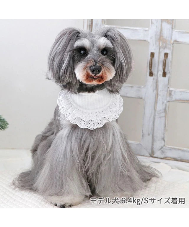 Pet bib, small dog, medium sized dog, large dog, ruffles | custom made, cat necklace, ribbon, lace, fashionable, cu