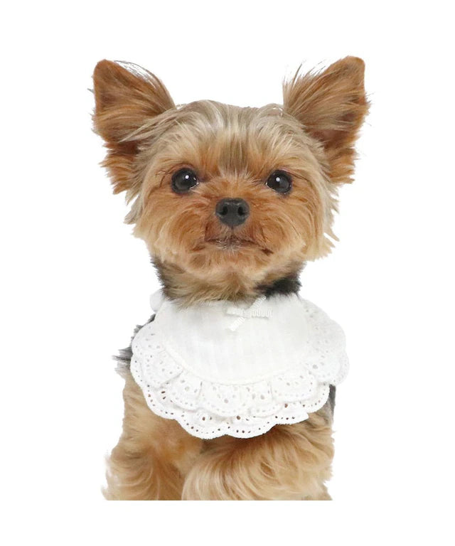 Pet bib, small dog, medium sized dog, large dog, ruffles | custom made, cat necklace, ribbon, lace, fashionable, cu
