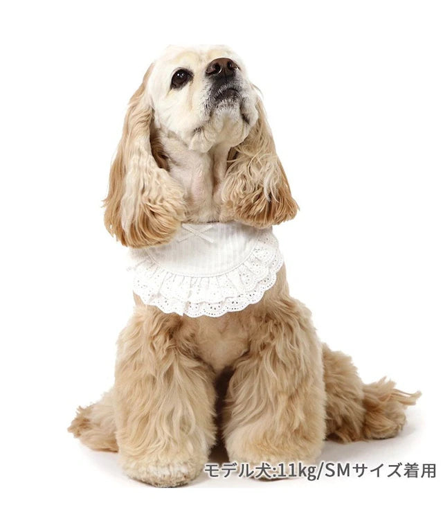 Pet bib, small dog, medium sized dog, large dog, ruffles | custom made, cat necklace, ribbon, lace, fashionable, cu
