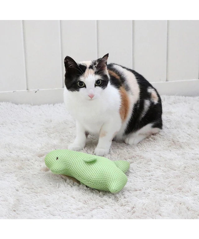 Cat Toy Mesh Toy Dinosaur | Kicking Cat Toy with Catnip Stylish Cute Toy TOY