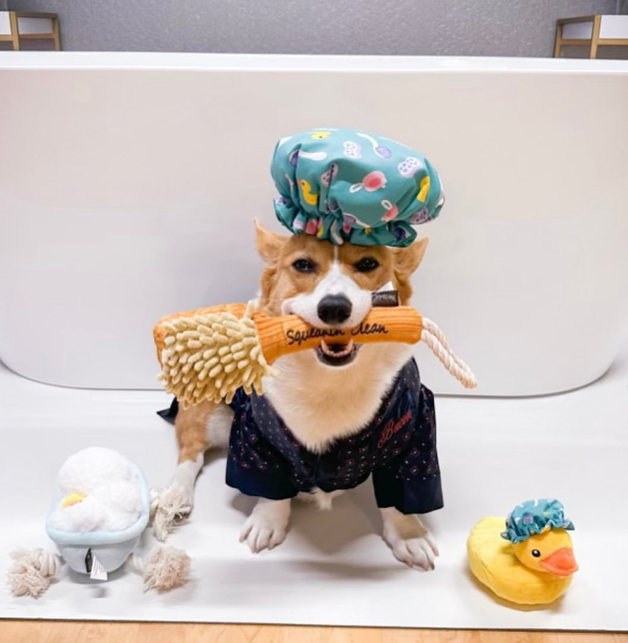 Splish Splash Collection