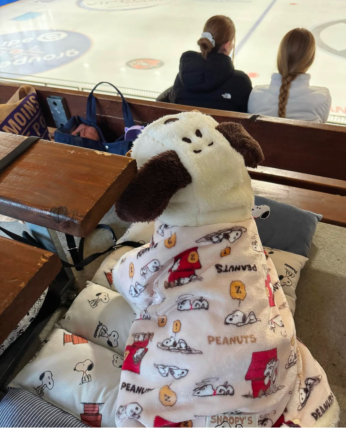Snoopy Blanket to Wear "Napping pattern" Hooded Ears Winter Clothes Heat Retention Cold Protection (Copy)