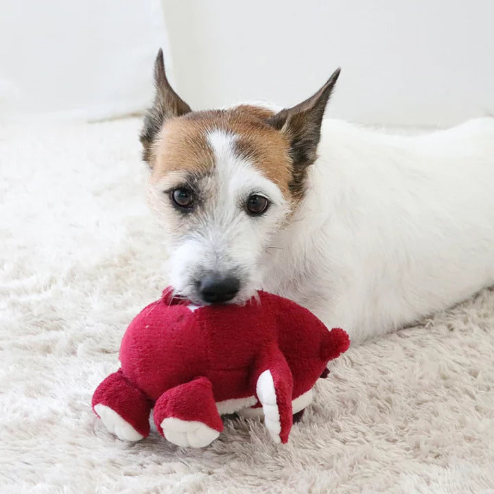 Disney Dog Toy Toy Story Lotso