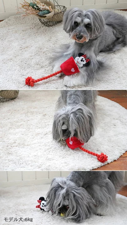 Disney Dog Toys Educational Nosework Rope Mickey Mouse Minnie Mouse