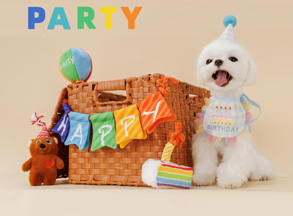 Birthday Toys and Packs