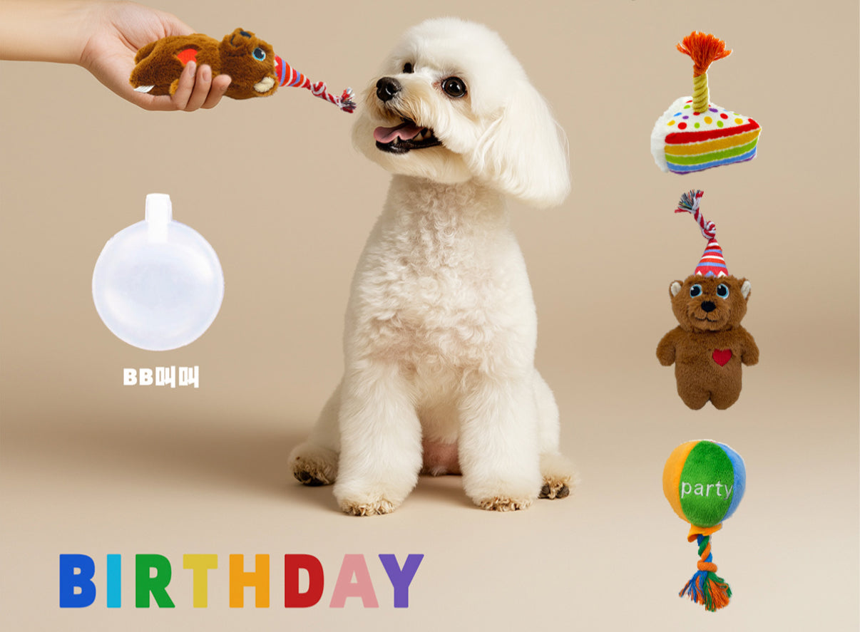 Birthday Toys and Packs