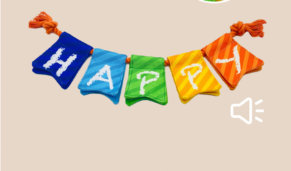 Birthday Toys and Packs