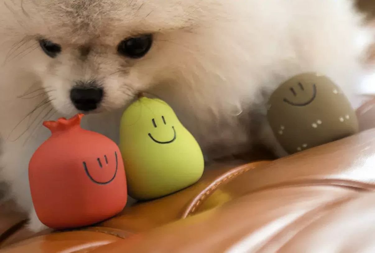 Squeaky Fruits Rubber Toys