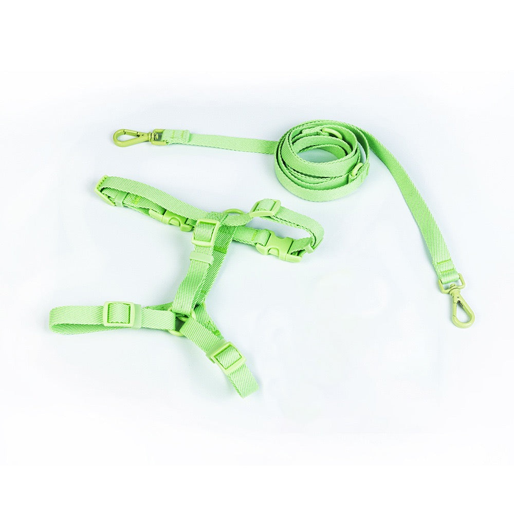 Step In Harness for both Cats and Dogs