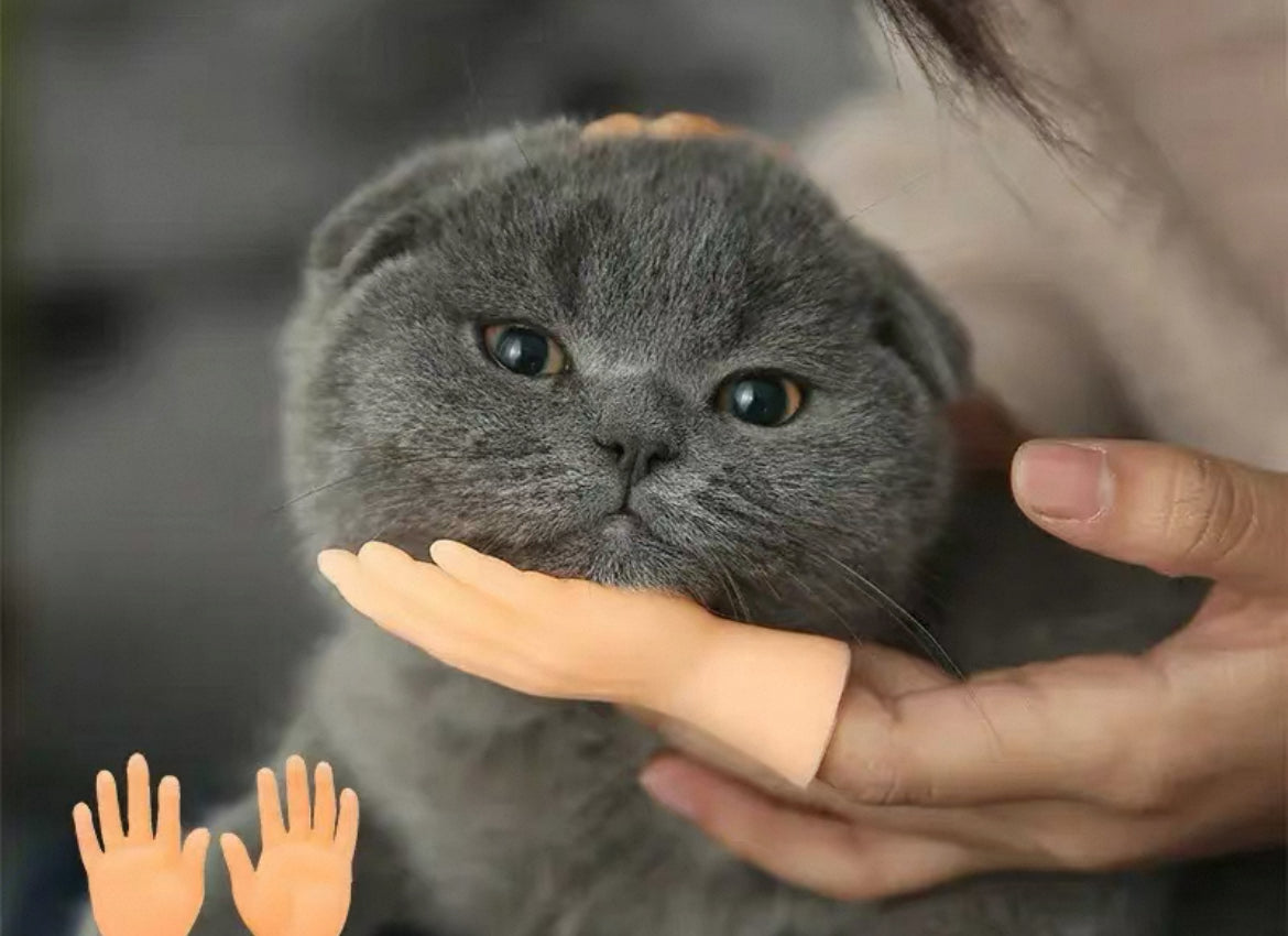 Cat Teaser Interactive Toy Mini Little Finger Gloves Funny Little Hand Model Massage Pet Supplies Small Finger Sui